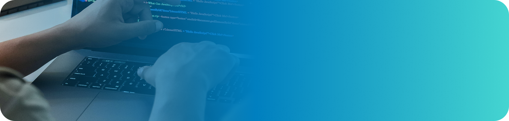 Software & IT Solutions